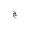 55.13222.010 THERMOSTAT EGO